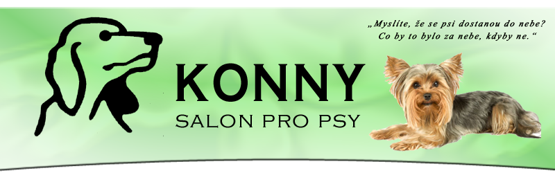 Primary Raster logo